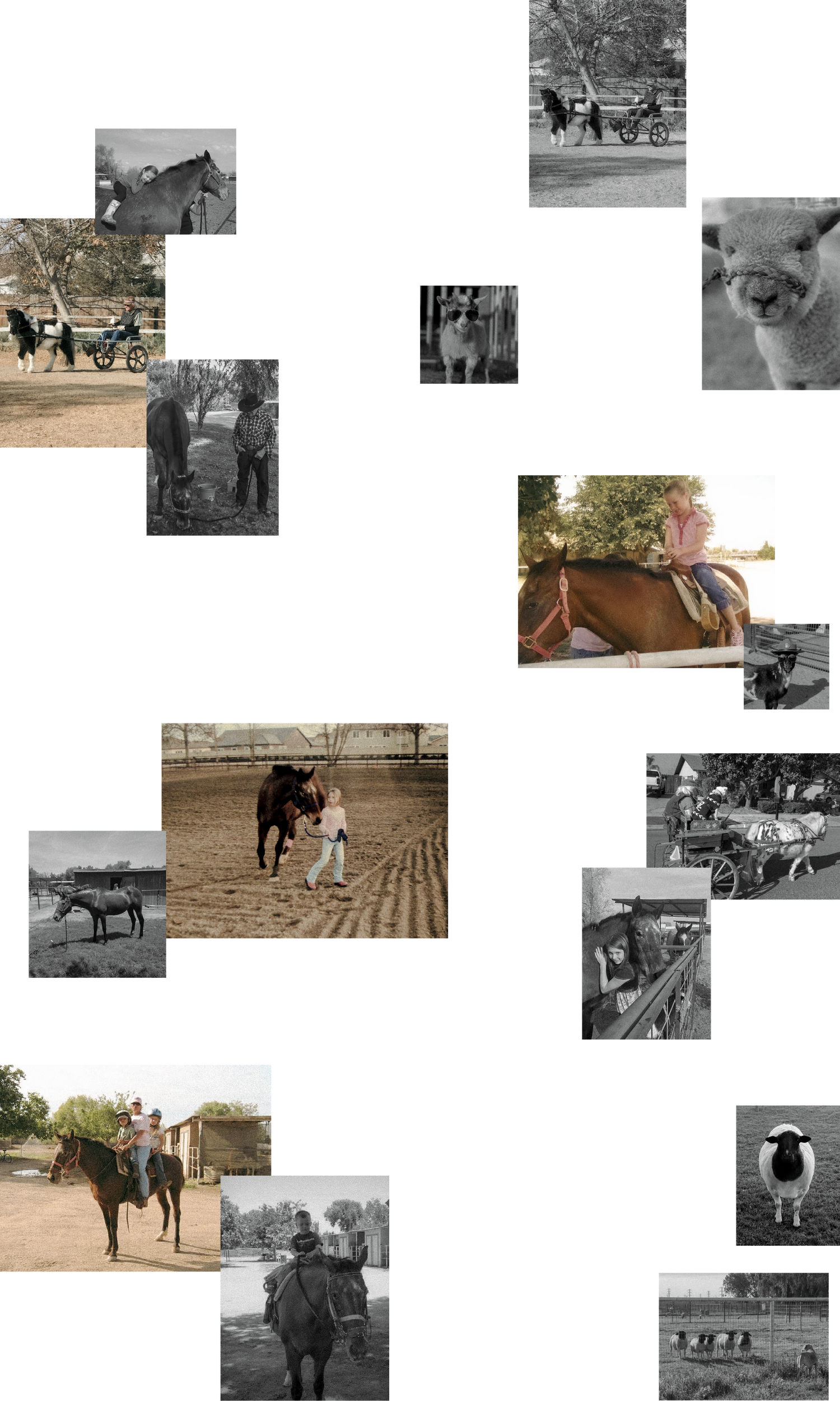 Salty Cowgirl Mobile